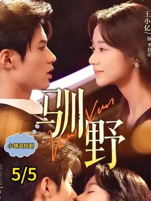 雾港来信